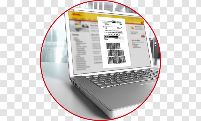 Brand Multimedia - DHL EXPRESS Transparent PNG