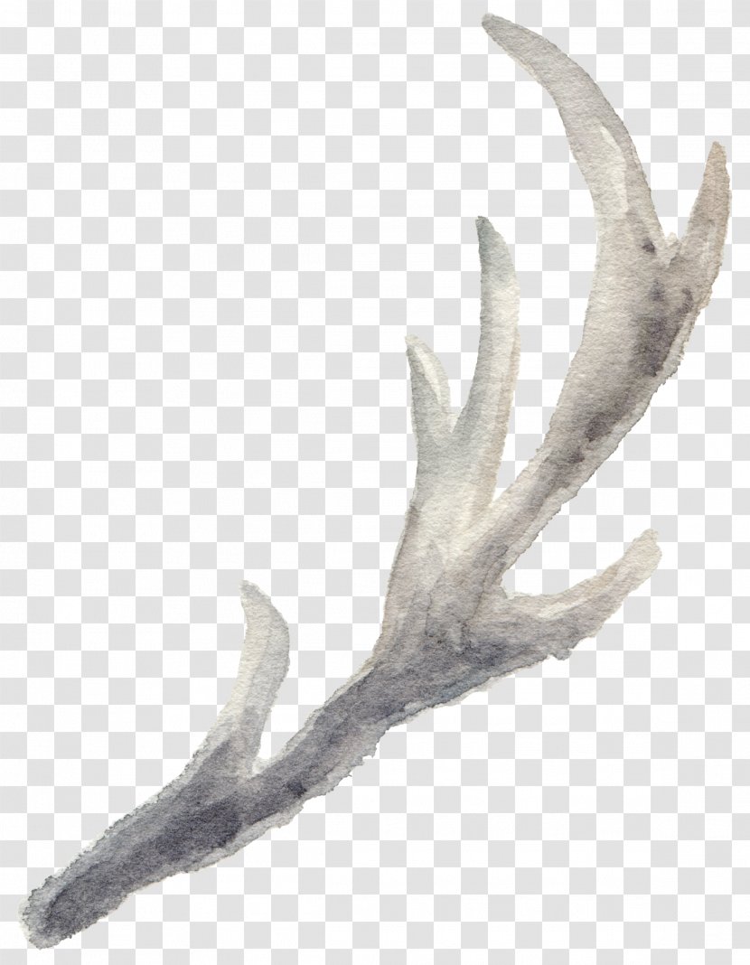 Antler Reindeer Watercolor Painting Pxe8re Davids Deer - Leaves Falling Element Transparent Transparent PNG