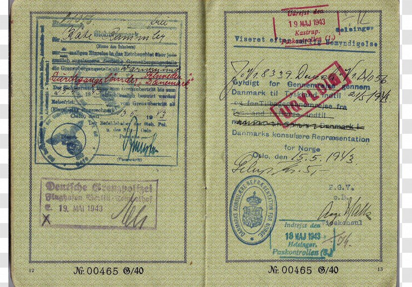 Document - Material - China Visa Transparent PNG