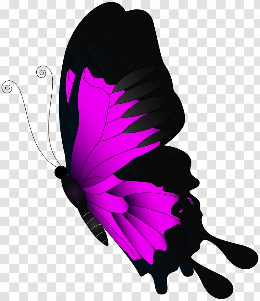 Butterfly Clip Art - Greta Oto - Pink Flying Transparent PNG