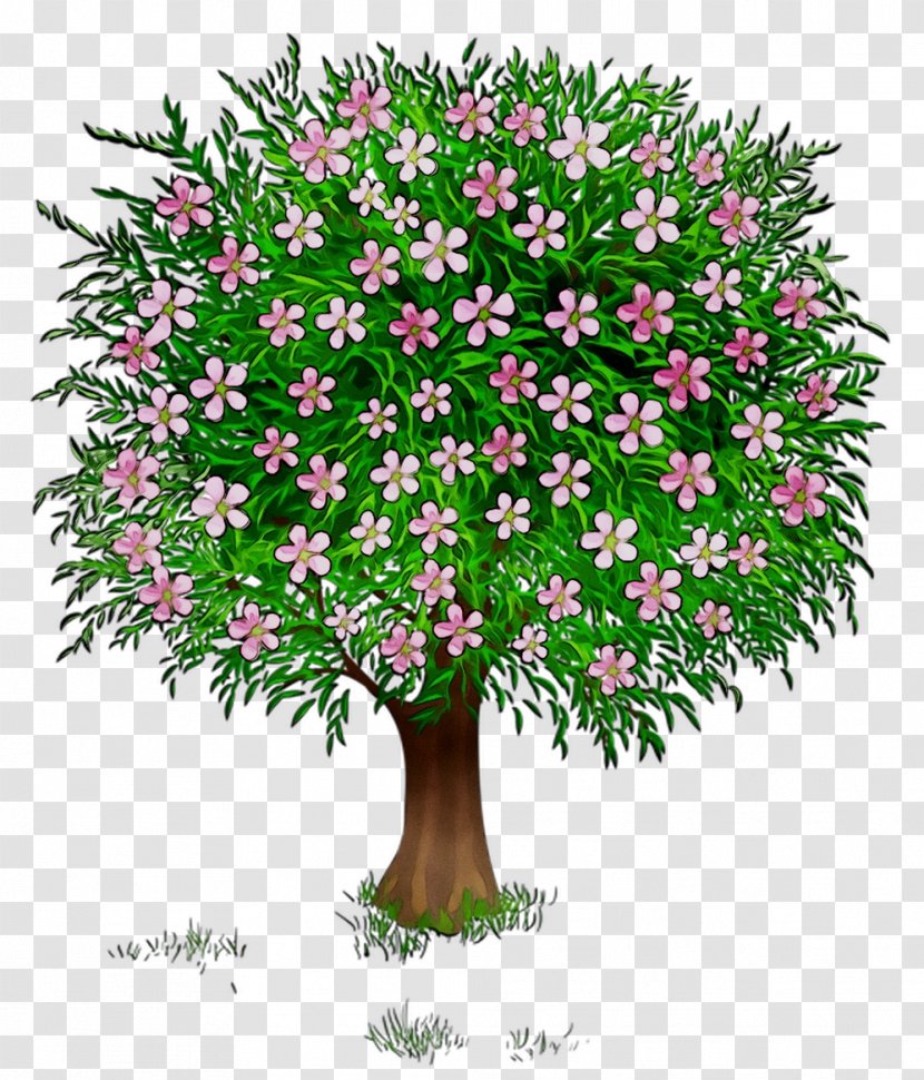 Flowerpot Houseplant Shrub Flowering Plant - Grass Transparent PNG