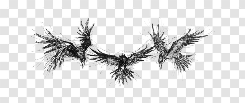 Sketch Line Art Pine - Flower - Enmity Background Transparent PNG