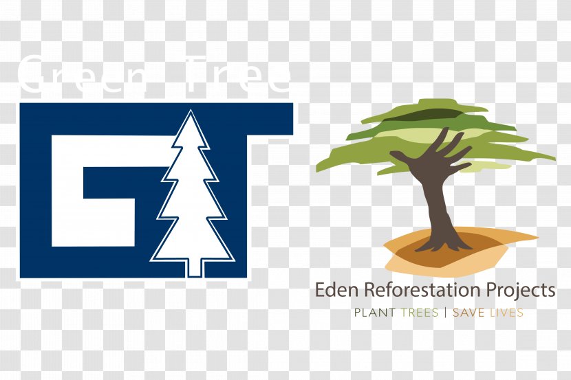 Eden Reforestation Projects Tree Planting - Deforestation Transparent PNG