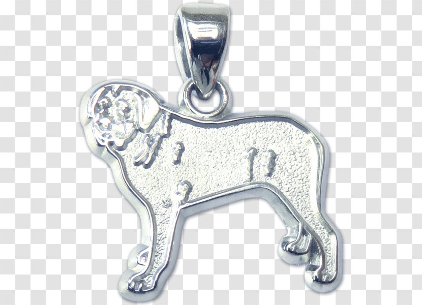 Dog Locket Silver Body Jewellery - Jewelry - Card Transparent PNG