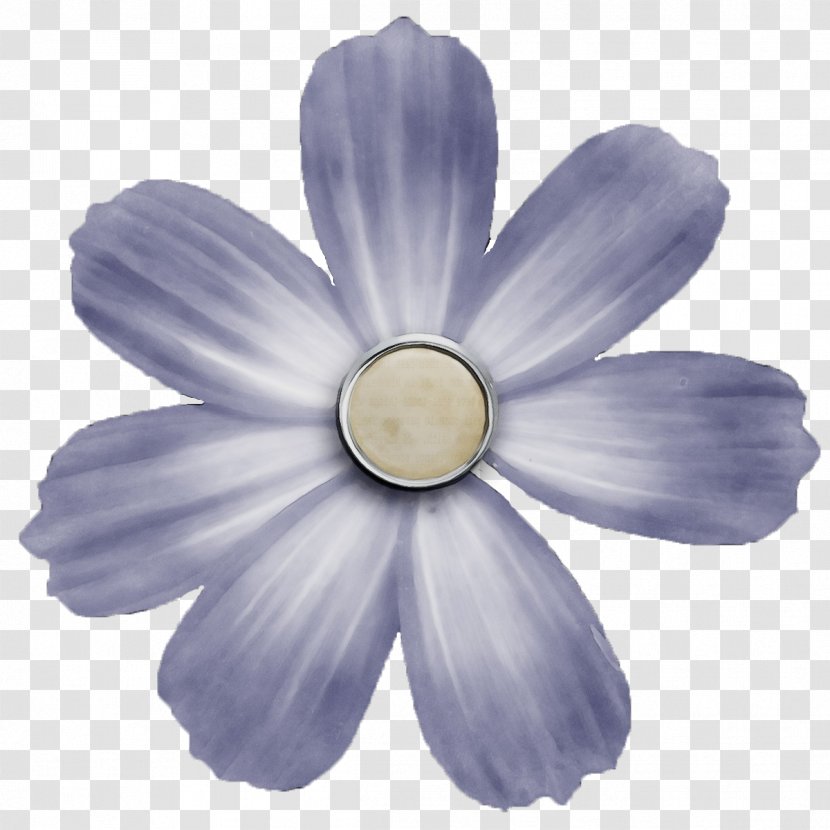 Watercolor Flower Background - Wildflower - Anemone Daisy Family Transparent PNG