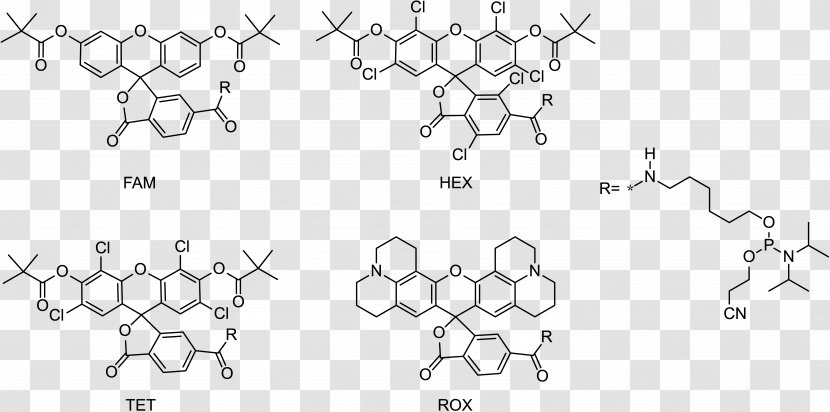 Fluorophore Fluorescein Amidite Fluorescence Förster Resonance Energy Transfer - Heart - Watercolor Transparent PNG