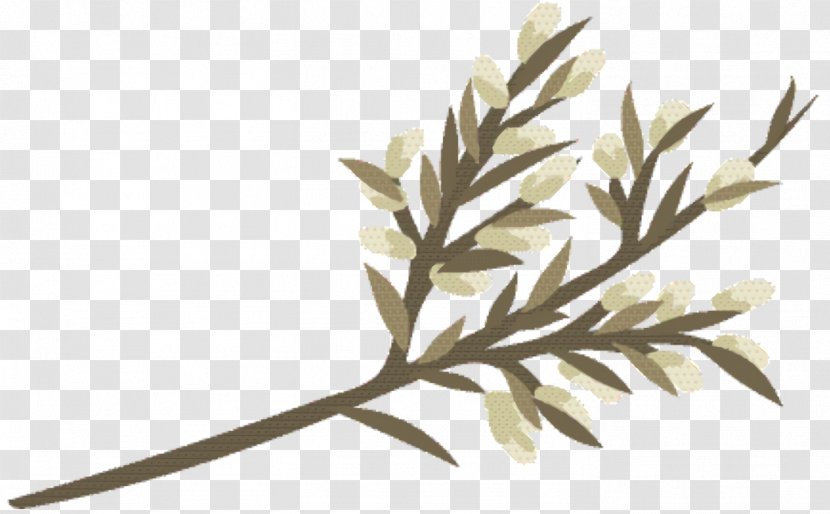 Grass Cartoon - Leaf - Tree Transparent PNG