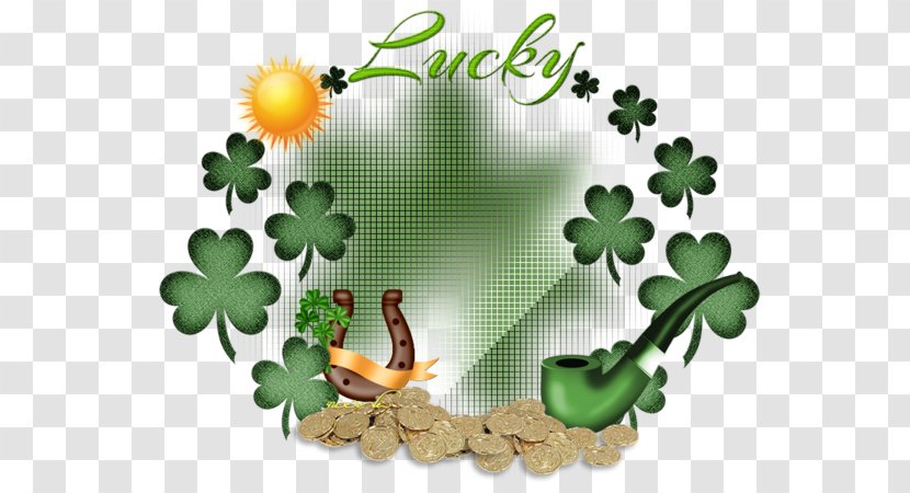 Shamrock Leaf Herbalism Saint Patrick's Day Flowering Plant - St. Patrick Transparent PNG