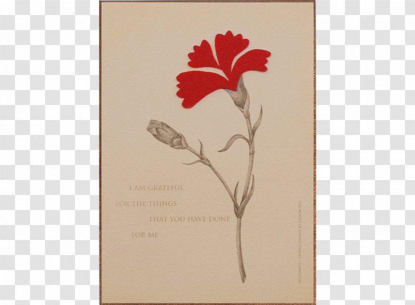 Carnation Drawing Parents' Day Paper - Flora - Design Transparent PNG
