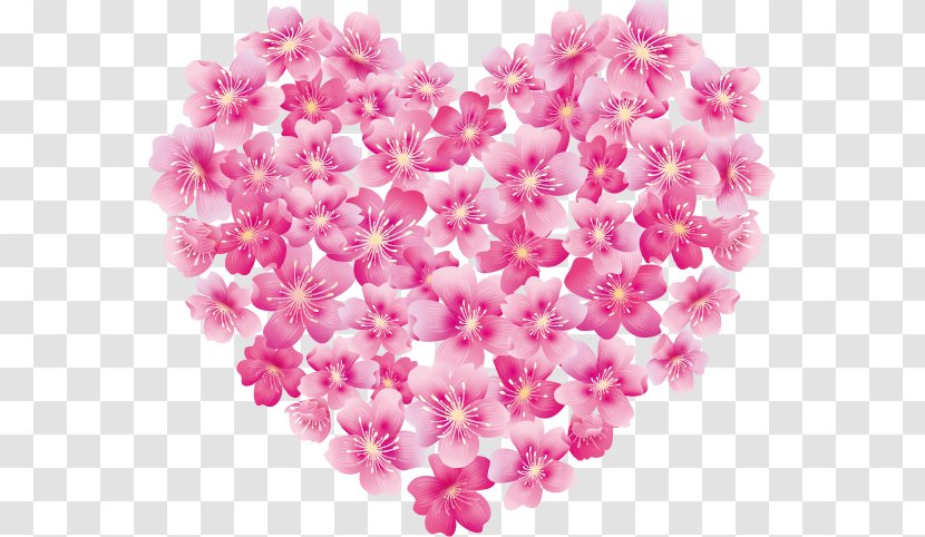 Cherry Blossom - Stock Photography - Floral Design Transparent PNG