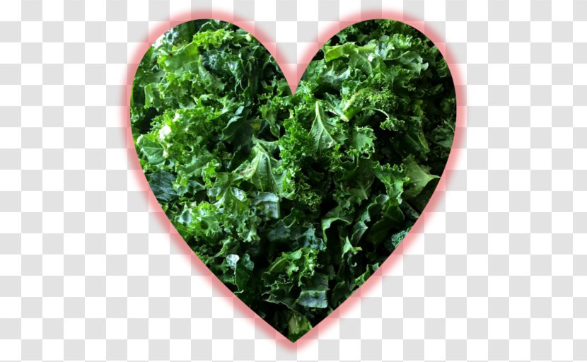 Kale Meal The HON Company Blog Heart - Huns Transparent PNG