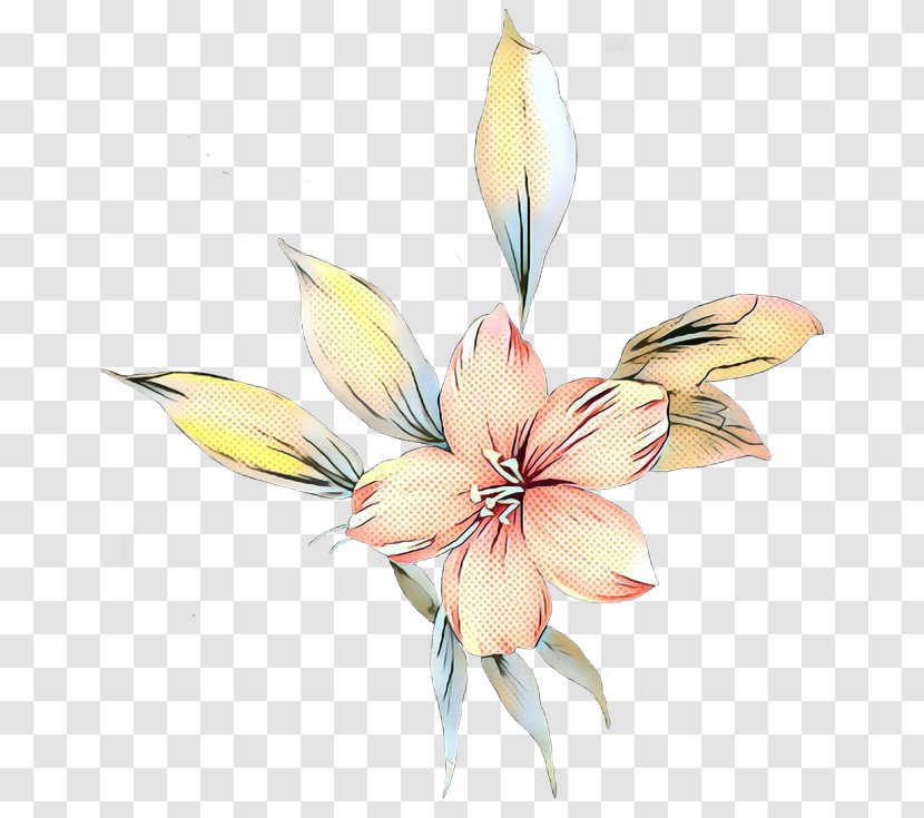 Lily Flower Cartoon - Plant Stem - Family Wildflower Transparent PNG