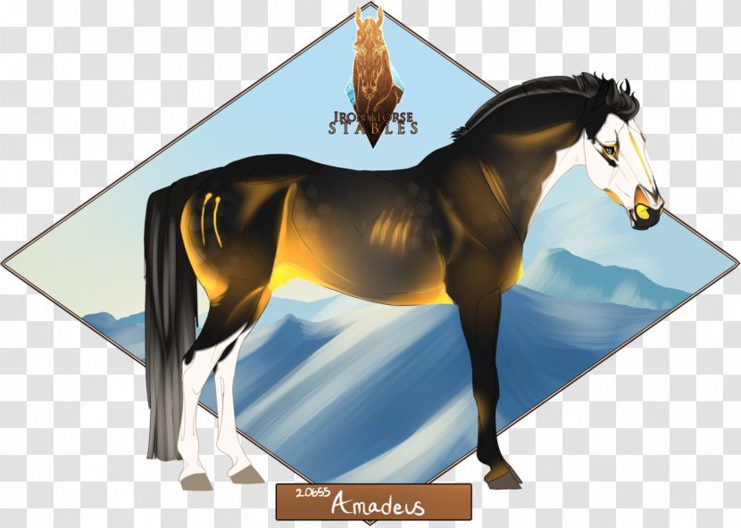 Mustang Stallion Pony Foal Colt Transparent PNG