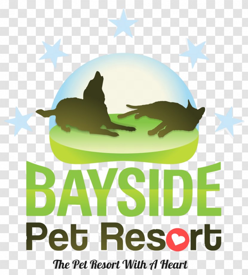 Sarasota Bayside Pet Resort Dog Sitting Cat Transparent PNG