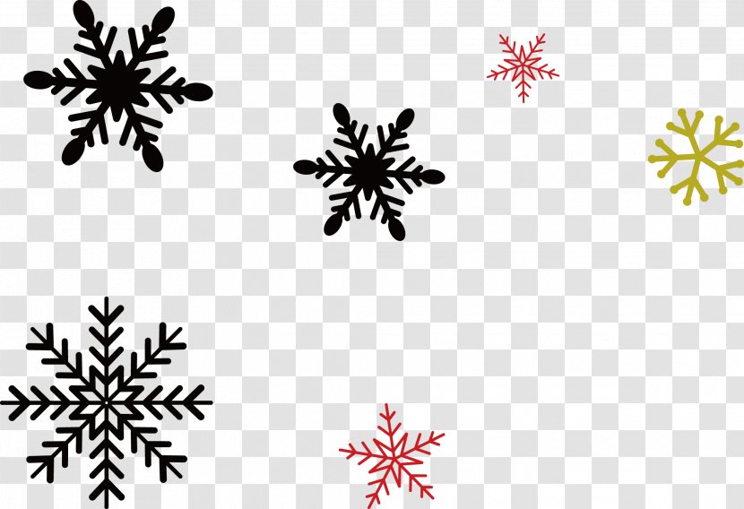 Snowflake Christmas Euclidean Vector - Symmetry - New Year Material Different Snowflakes Transparent PNG