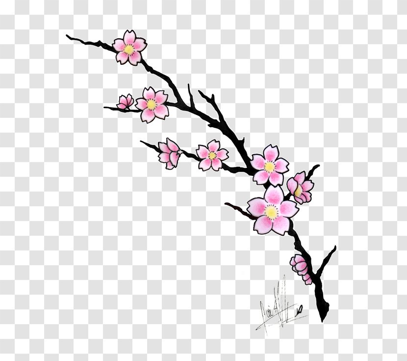 Cherry Blossom Drawing Tattoo Cartoon - Art Transparent PNG