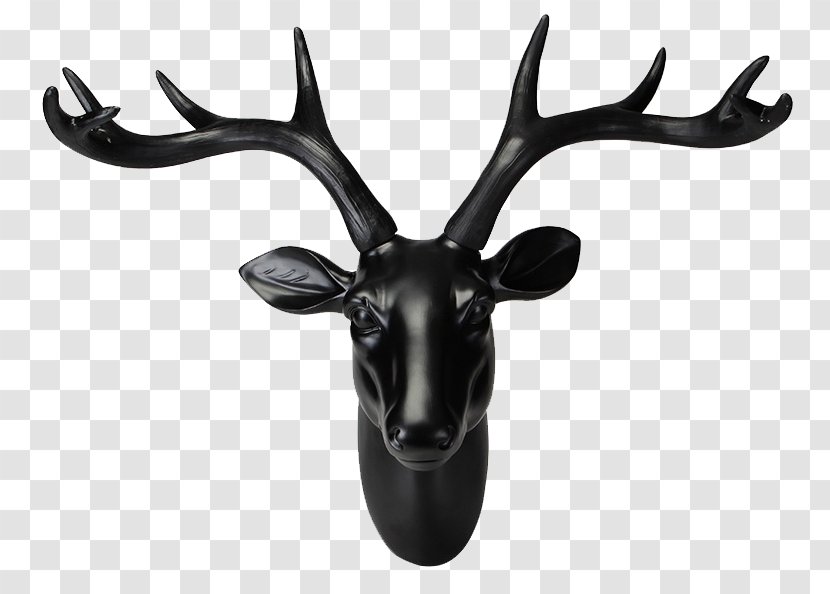 Deer Elk - Wall Transparent PNG