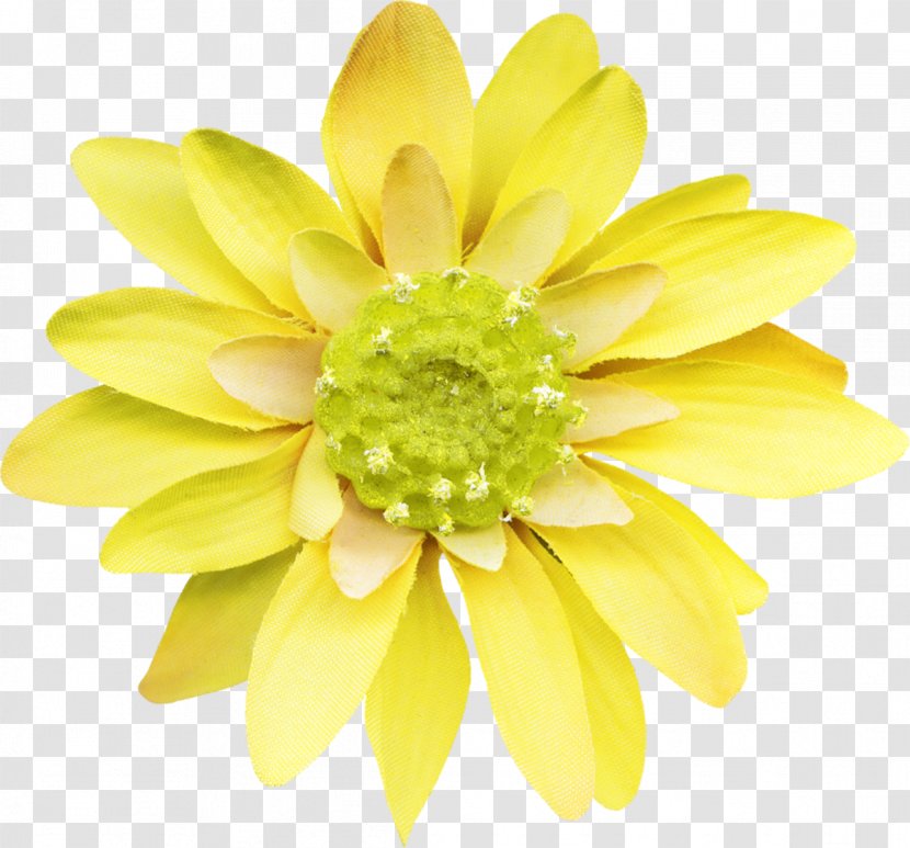 Flower Stock Photography Painting - Chrysanthemum Transparent PNG