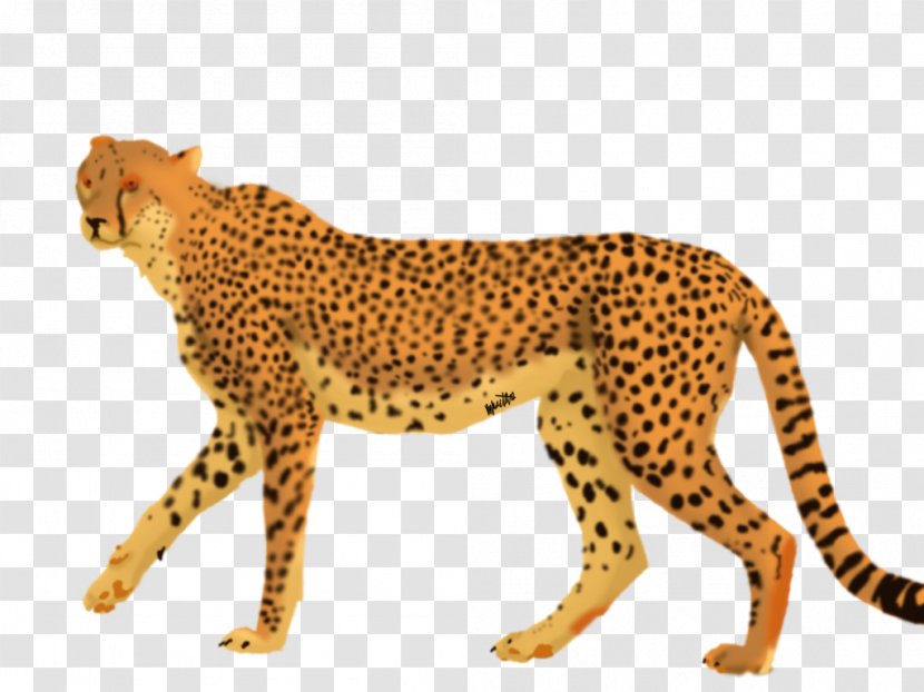 Cheetah Leopard Big Cat Terrestrial Animal - Take It Slow Transparent PNG