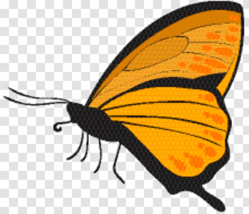 Tiger Cartoon - Moths And Butterflies - Wing Lycaenid Transparent PNG