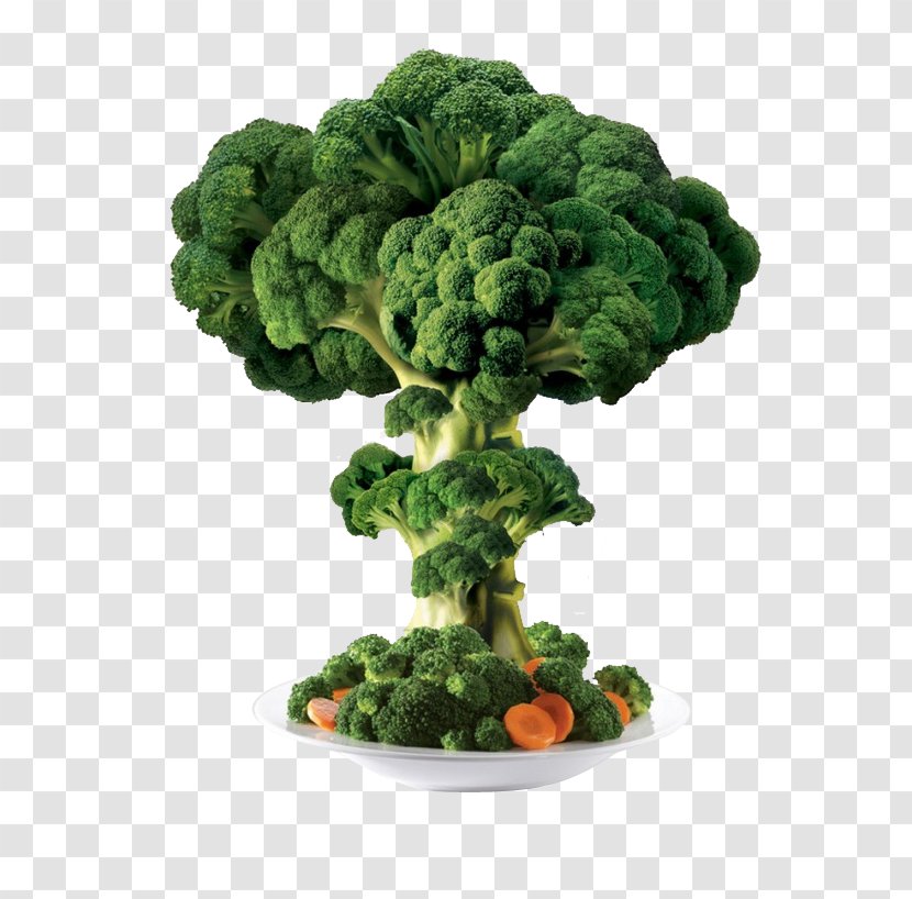 Broccoli Vegetable - Food - Creative Transparent PNG