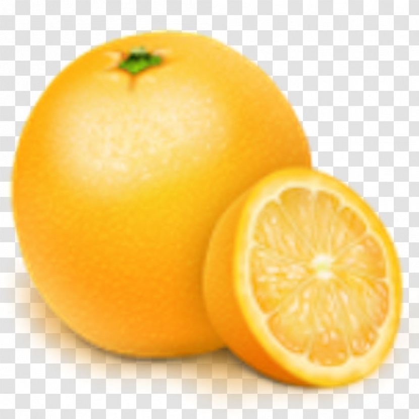 Orange Clip Art - Lemon - Grapefruit Transparent PNG