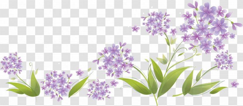 Royalty-free Photography Clip Art - Violet - Hydrangea Transparent PNG