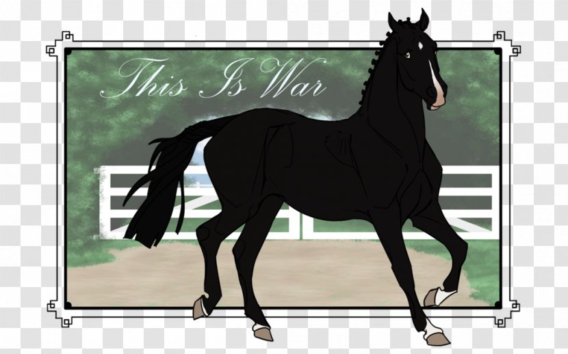 Stallion Rein Mustang Foal Mare Transparent PNG