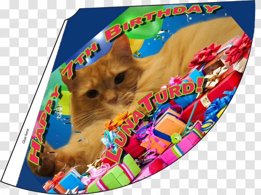 Birthday Party Hat Cat Whiskers - Play Transparent PNG