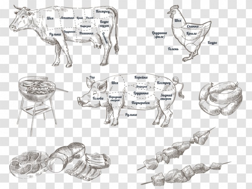 Sketch Clothing Accessories Car Mammal Product Design - Head - Cooked Meat Coloring Pages Transparent PNG