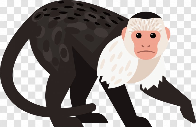 Gibbon Baboons Chimpanzee Monkey - Art - Cute Little Transparent PNG