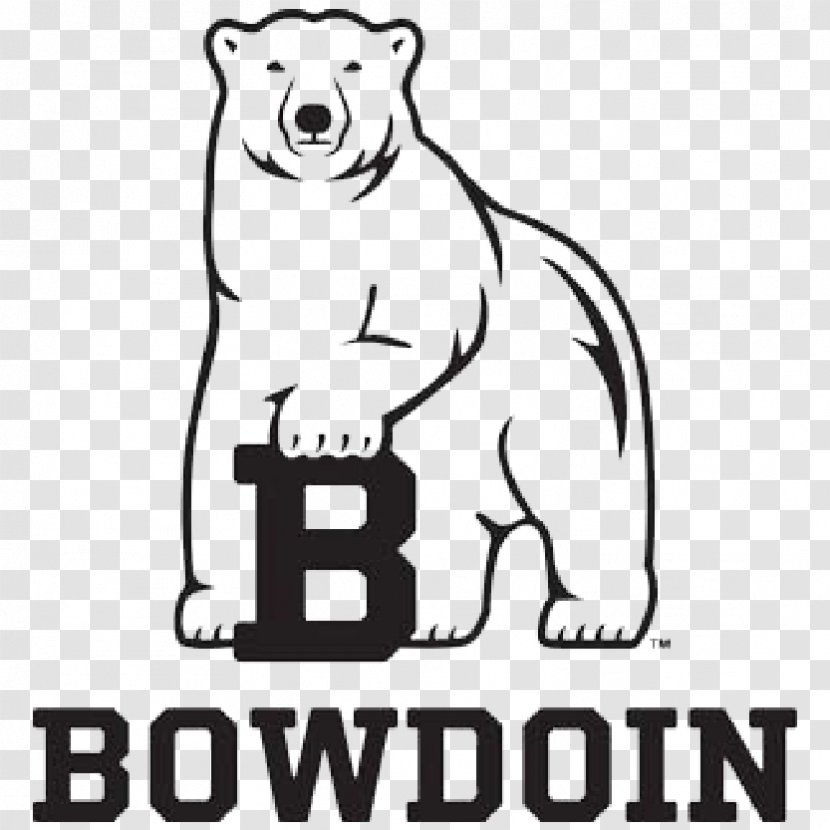 Bowdoin College Polar Bears Football Women's Basketball - Line Art - Bear Transparent PNG