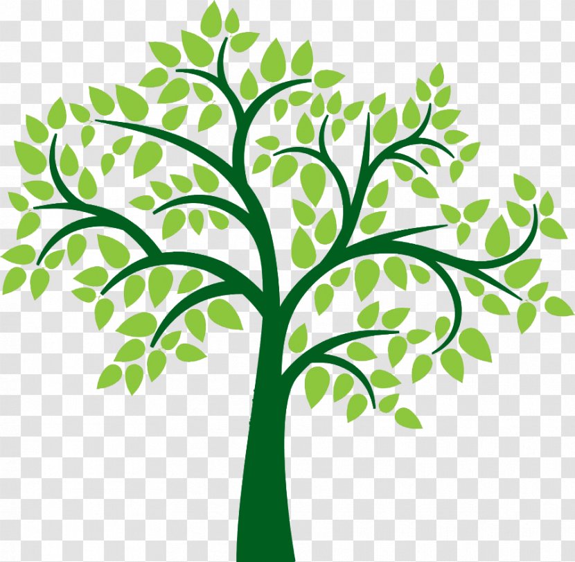 Family Tree Clip Art - Branch Transparent PNG