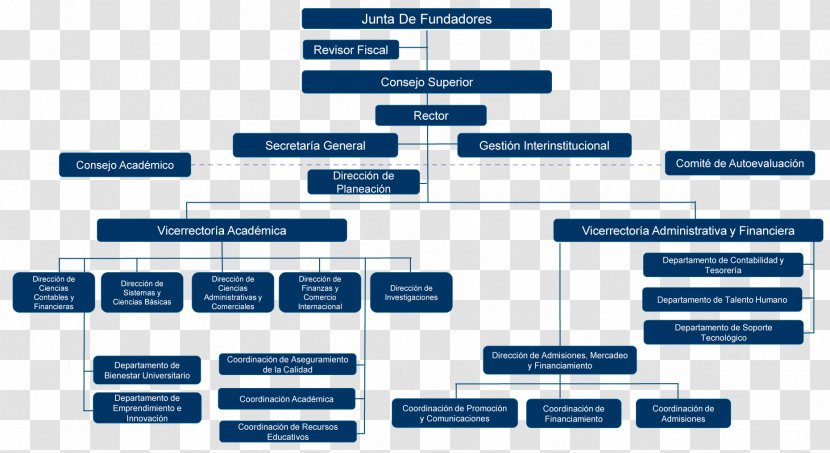 Organizational Chart Empresa Management Corporation - Organization - Business Transparent PNG