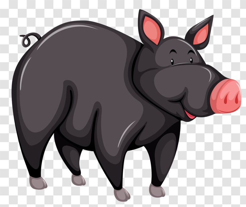 Large Black Pig Iberian Cartoon - Animal - Wild Boar Transparent PNG