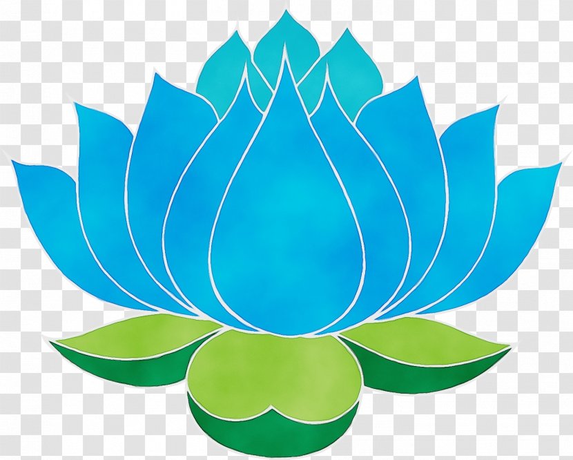 India Flower Background - Aquatic Plant - Logo Transparent PNG