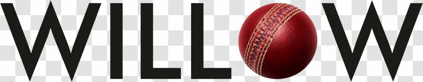 Willow Television Channel Cricket Streaming Media - Bats Transparent PNG