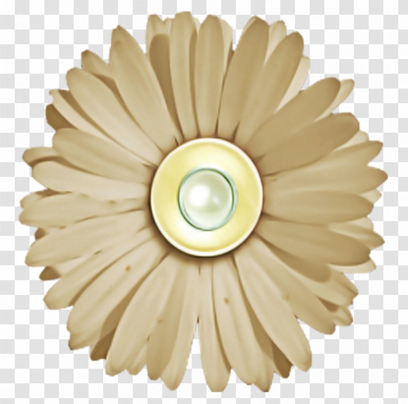 Gerbera Ceiling Beige Petal Flower - Plant Transparent PNG