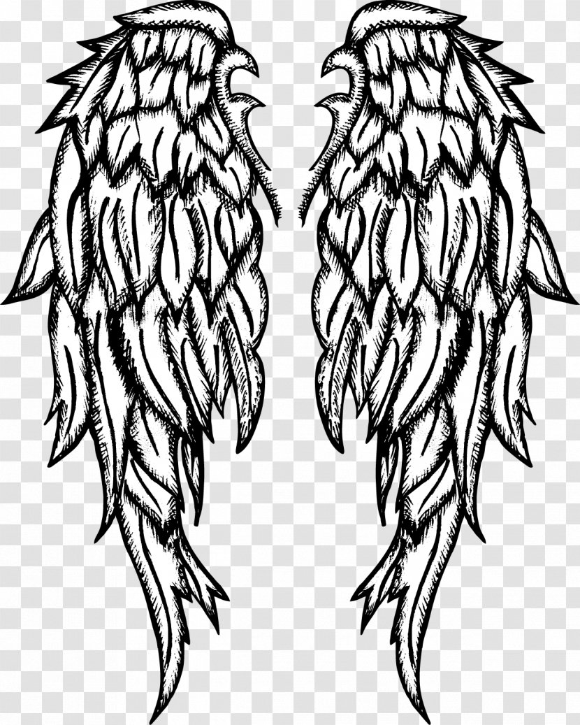 Drawing Angel Clip Art - Cartoon - Vector Painted Wings Transparent PNG