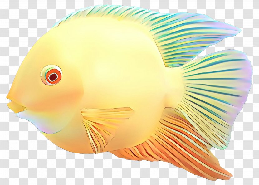 Coral Reef Fish Marine Biology - Butterflyfish - Parrotfish Transparent PNG