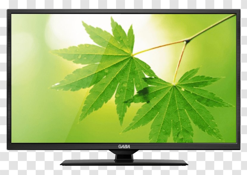 Desktop Wallpaper Display Resolution 4K - Television - Widescreen Transparent PNG