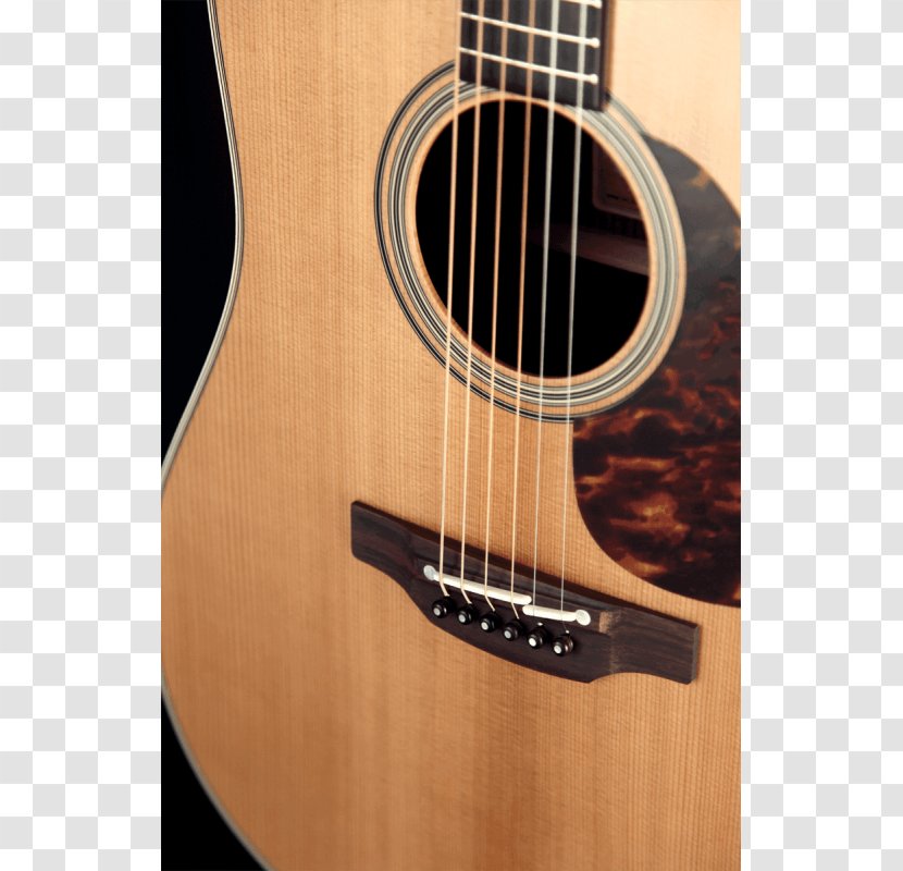 Acoustic Guitar Bass Acoustic-electric Tiple Takamine Guitars - Flower Transparent PNG