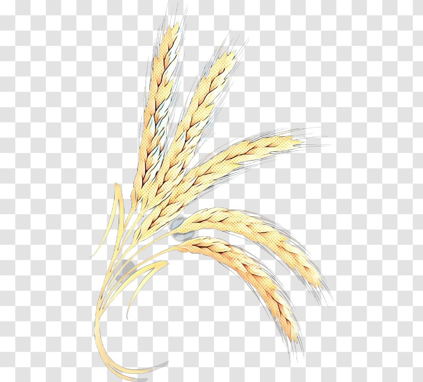 Emmer Grain Wheat Transparent PNG