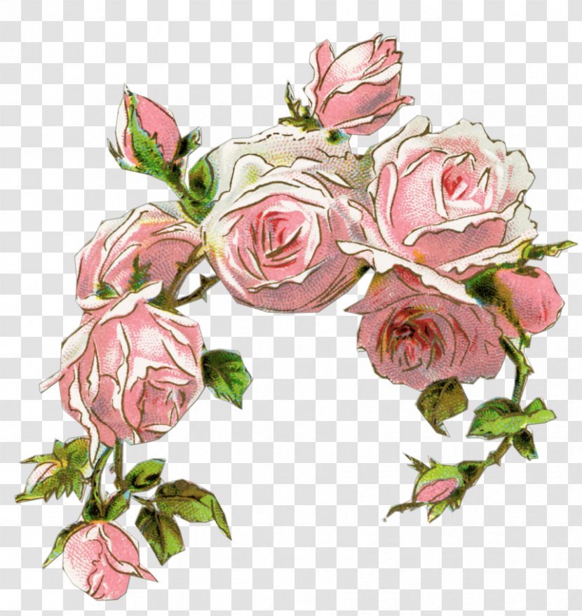 Rose Pink Vintage Clothing Flower Clip Art - Cut Flowers - Watercolor Transparent PNG