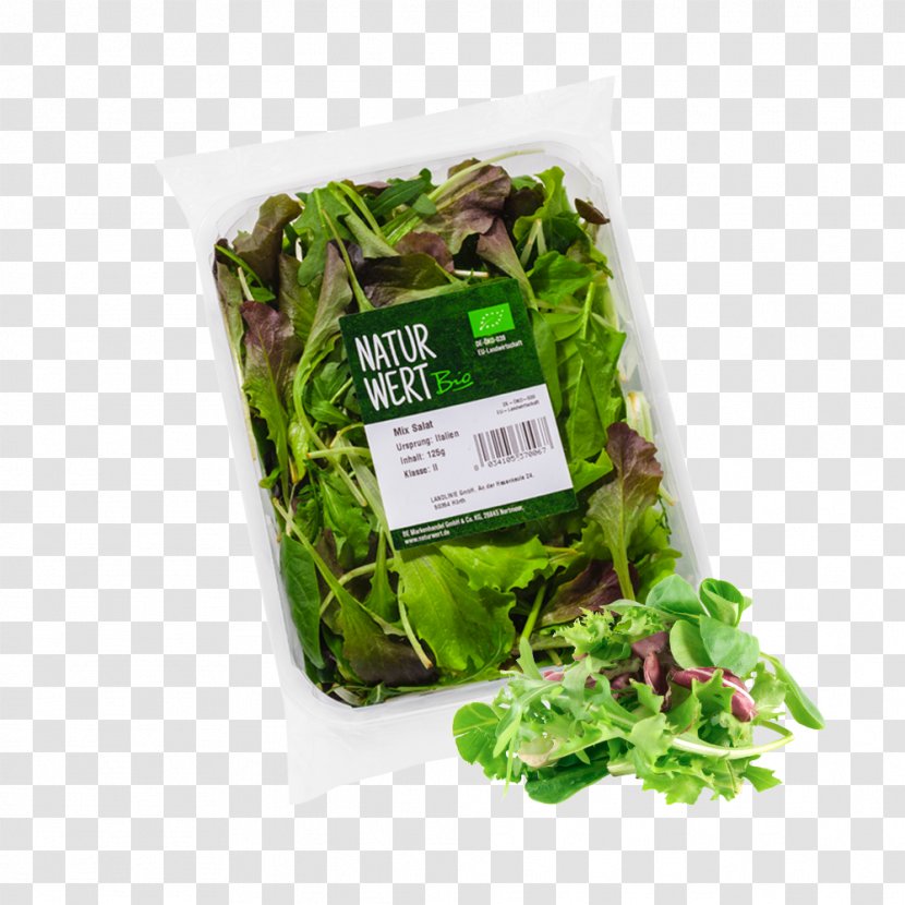 Romaine Lettuce Organic Food Caesar Salad Bildtafel Obst Und Gemüse Transparent PNG