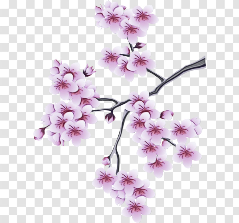 Cherry Blossom Transparent PNG