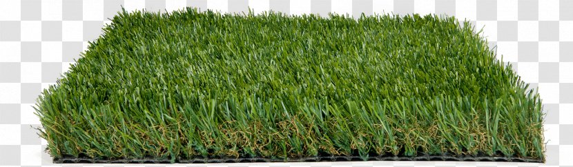 Green Grass Background - Crop Flooring Transparent PNG