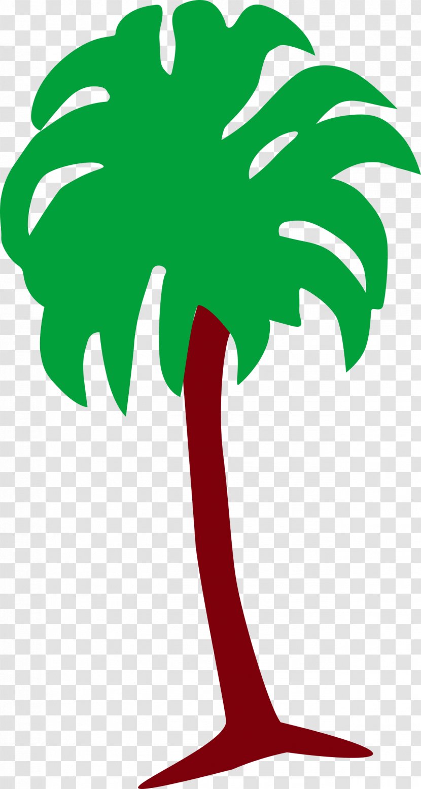 Qatar Tree Arecaceae Plant Clip Art - Palm Transparent PNG