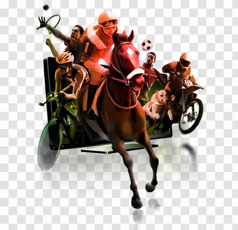 Sports Betting Horse Racing G.D. Chaves - Heart Transparent PNG