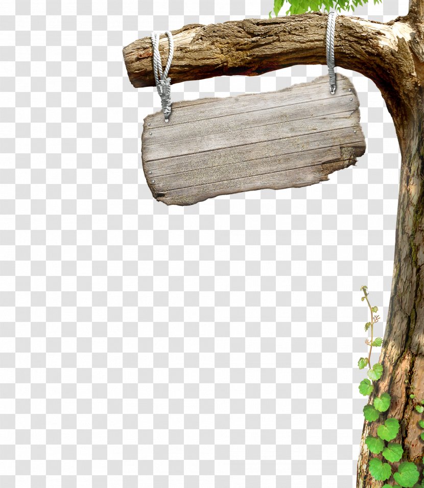 Download - Wood - Tree Transparent PNG